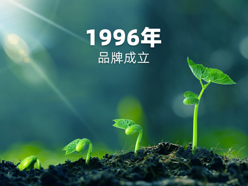 1996年